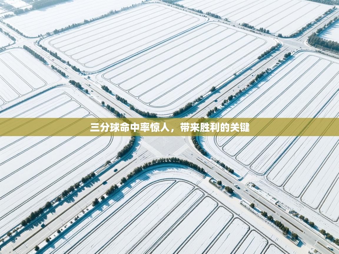 三分球命中率惊人，带来胜利的关键  第1张