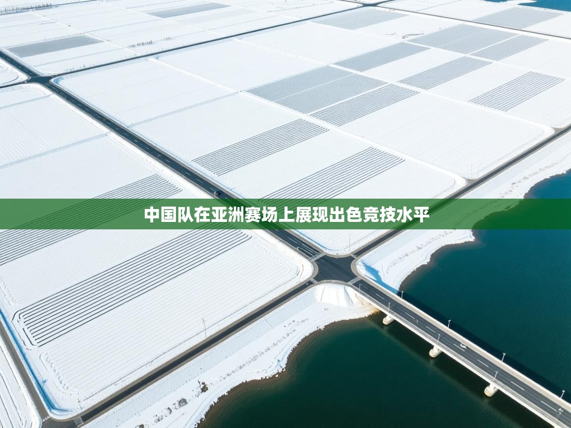 中国队在亚洲赛场上展现出色竞技水平  第2张