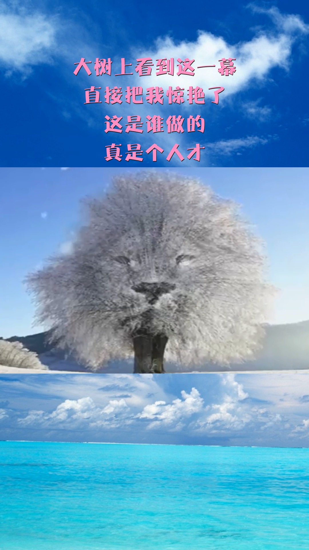 关于神奇进球：惊艳一幕震撼球迷！的信息